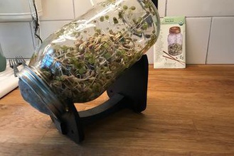 sprouting jar support your home nongmo organicfarming ultimaker2 realfood healthysnack sproutjar sprouts sprouttingjar beansprouts kitchen food 3d print model - Mito3D