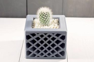 star spettro fioriera la vostra casa piante grasse coperta fioriere succulente-fioriera plantermodern succulente cactus indoor all'interno indoorgarden 3d print model - Mito3D