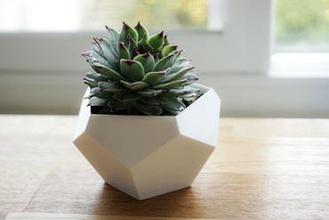 succulent planter dodecahedron your home vase spiral art architecture design etsy easy print fast geometry fun ultimaker 3d print model - Mito3D