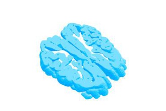 sus scrofa domesticus Gehirn Scheibe Bildung die medizinische Biologie 3d print model - Mito3D