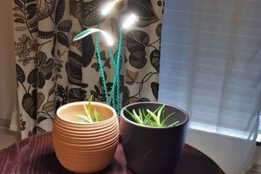 table lamp plant light led light  3d print model - Mito3D
