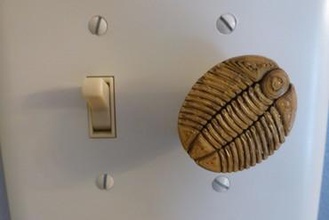 los trilobites del atenuador de luz la perilla su casa dimmer niña genio 3d print model - Mito3D