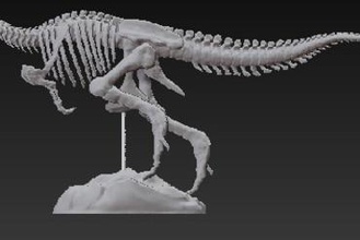 tristan-otto altri scheletro dinosauro trex t-rex dino l'osso 3d print model - Mito3D