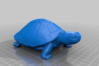tortue cache géocache géocaching 3d print model - Mito3D