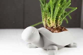 turtle planter your home turtle planter indoor planter planters succulent-planter cactus cacti indoor