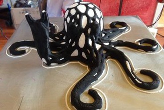 two color rocktopus art octopus voronoi dual extrusion head colour rock 3d print model - Mito3D