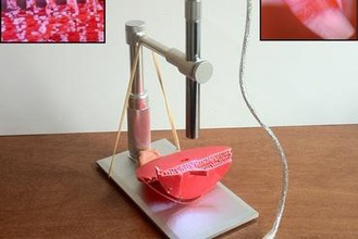 usb-Mikroskop-Tisch-Stativ-mount gadget Mikroskop tool mount Kamera Bühne Wissenschaft 3d print model - Mito3D