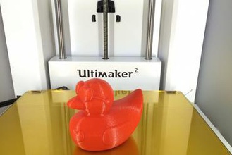 valentines duck toys love 3dprinteros 3d print model - Mito3D