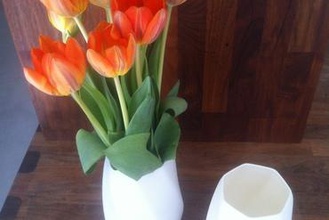 vazer your home vase 3d print model - Mito3D
