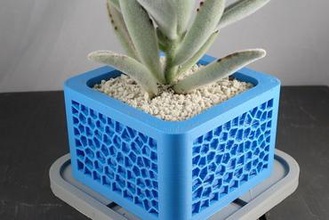 voronoi planter your home succulents succulent succulent-planter planters indoor pattern cactus cacti indoorgardening indoorgrowing plantermodern 3d print model - Mito3D