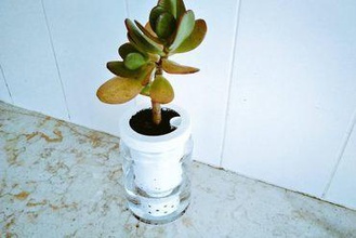 watering vase planter recycle 3d print model - Mito3D
