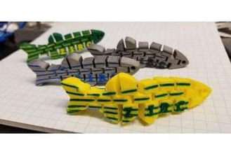 Zebrafisch-Spielzeug - Spielzeug Zebrafisch Fisch swag artikuliert 3d print model - Mito3D