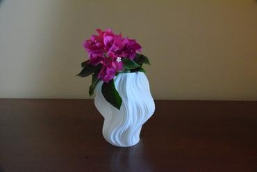 zefiro bacio frattale vaso julia impostato mandelbrot modalità matematica arte 3d print model - Mito3D