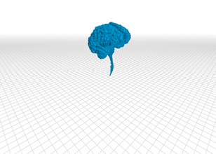 bambino cervello la medicina biomedica brain3d exman medico 3d print model - Mito3D