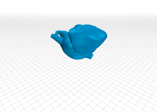kalp tıp eğitim insan inventure pla zortrax zpla 3d print model - Mito3D