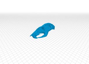 cráneo del ratón de la medicina el 3d print model - Mito3D