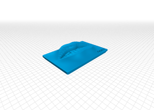 origine du tissu facial de boîte art & design 3d print model - Mito3D