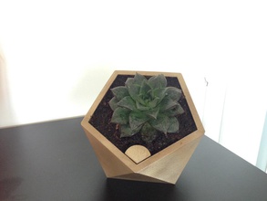 penta self watering pot household objects contest2015 contest 2015 flower wattering 3d print model - Mito3D