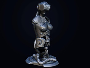 sci-fi busto games & cosplay il contest2015 3d print model - Mito3D