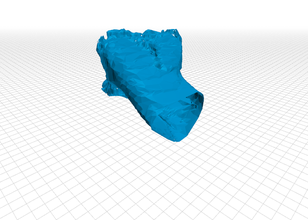 krank hand hibula Knochen engineering ifox 3d print model - Mito3D