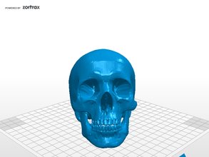 le crâne de la médecine zortrax 3d print model - Mito3D
